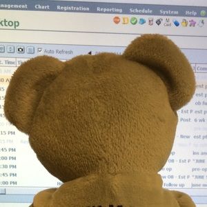 Meet your Posher, David